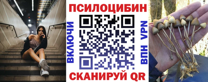 Купить закладки  Темрюк  Галлюциногенные грибы GOLDEN TEACHER 